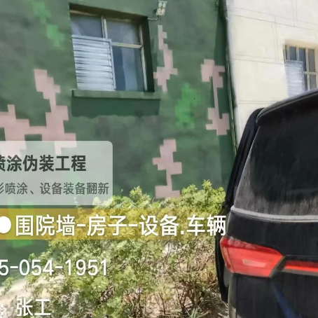 牡丹江数码迷彩漆施工